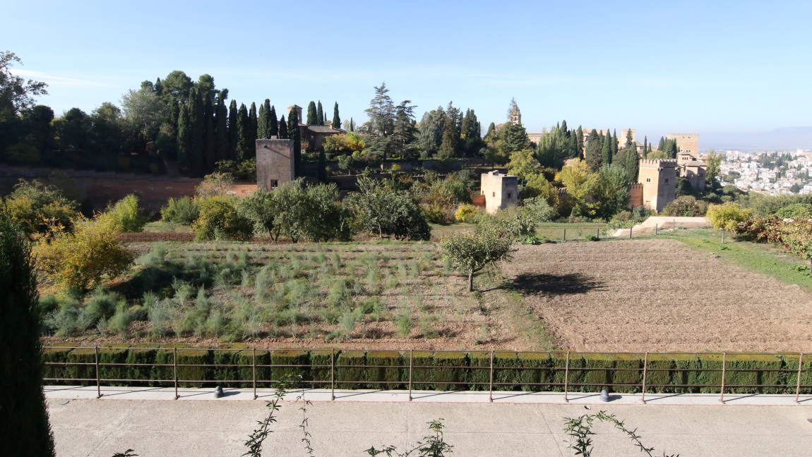 View from the Promenade