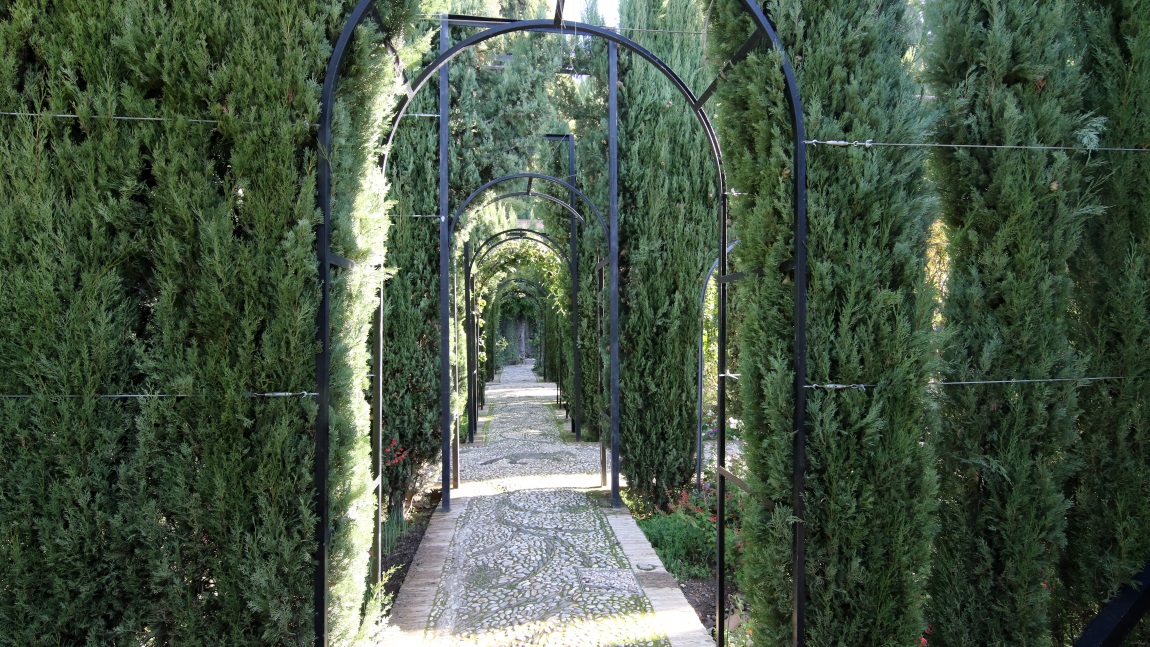 Promenade of the Cypress Trees