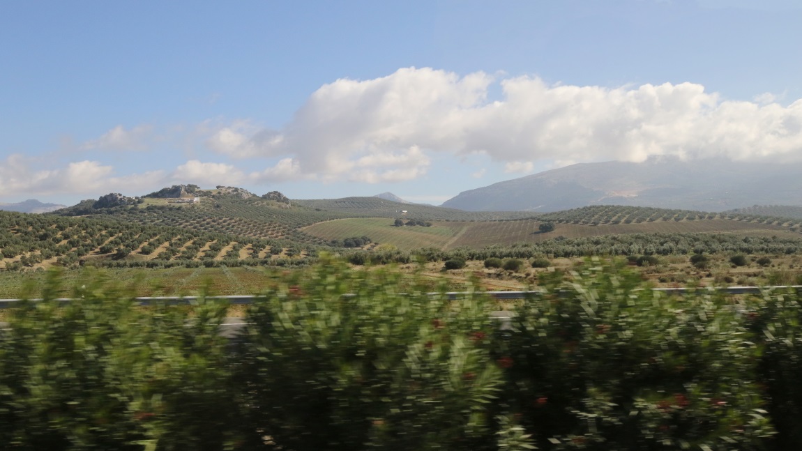 Farming near Villanueva del Trabuco