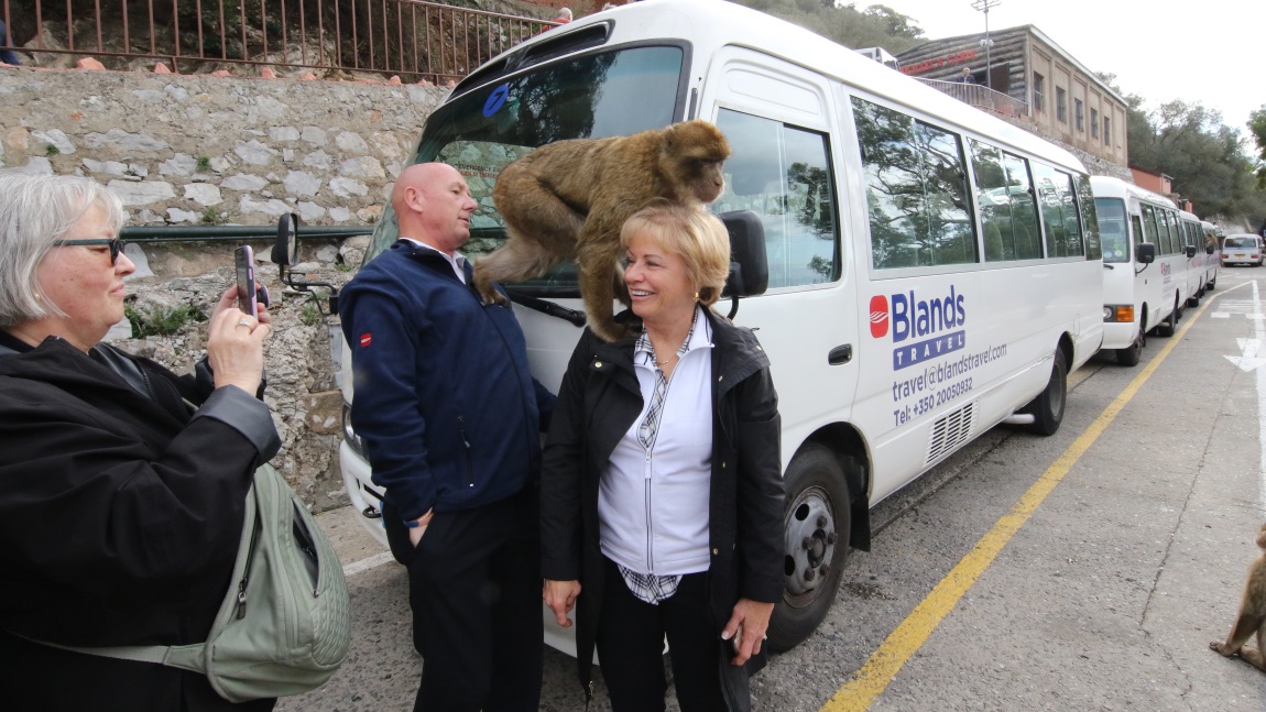 Pictures with the monkeys