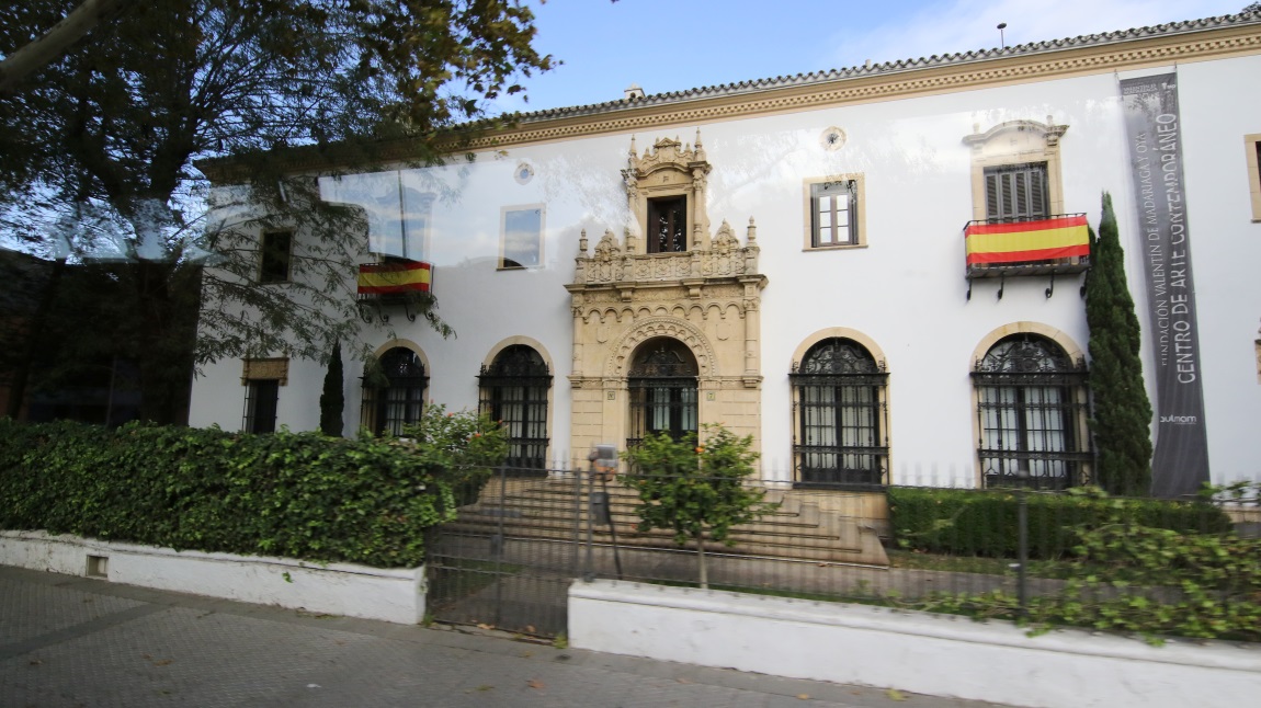 Valentin Madariaga and Oya Foundation