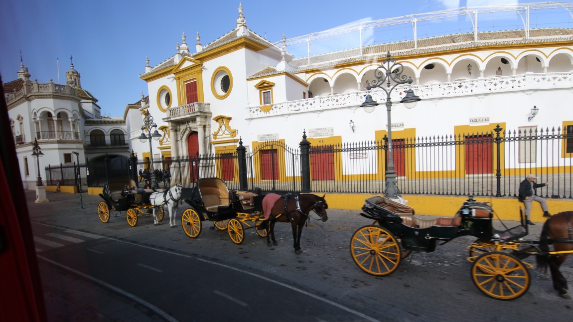 Plaza de toros