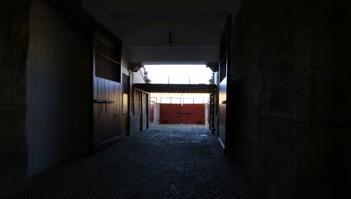 Passage in the Plaza de Toros