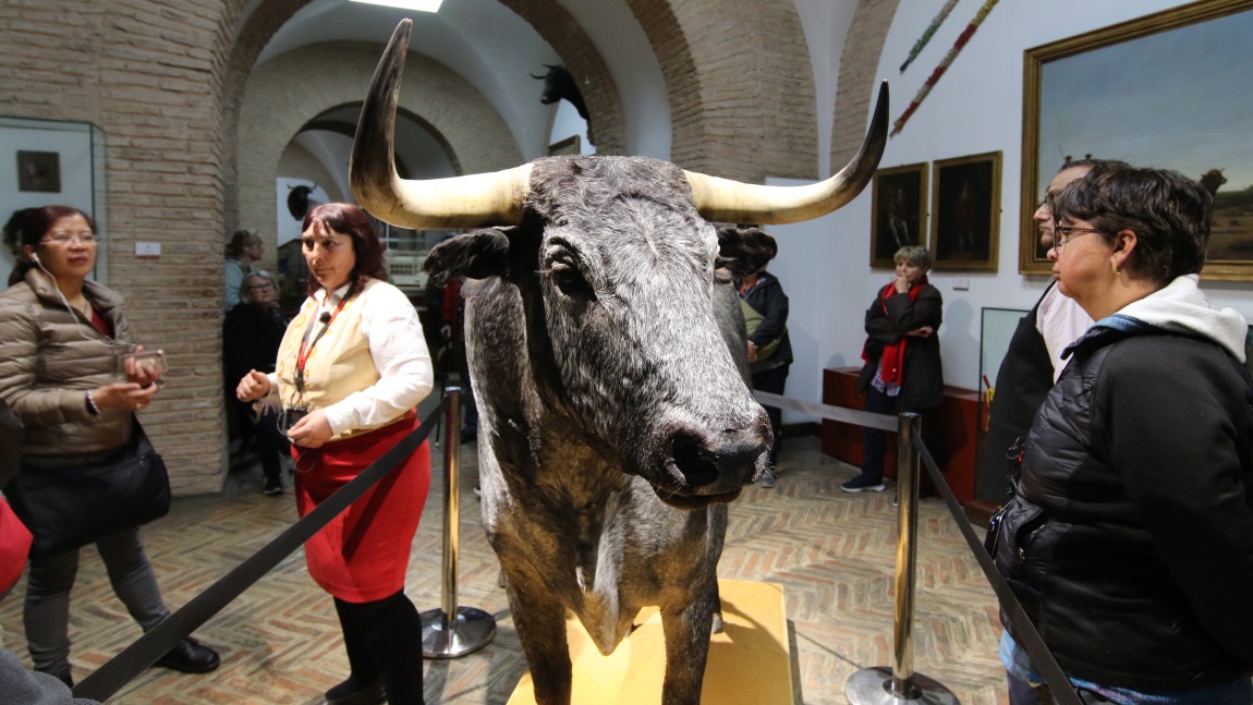 The best bulls get stuffed