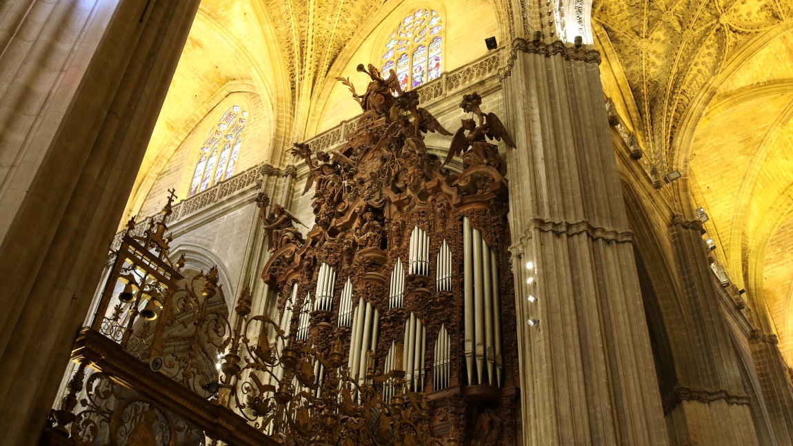 The organ