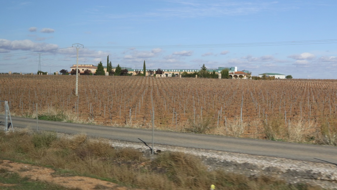 Bodegas Navarro Lpez winery