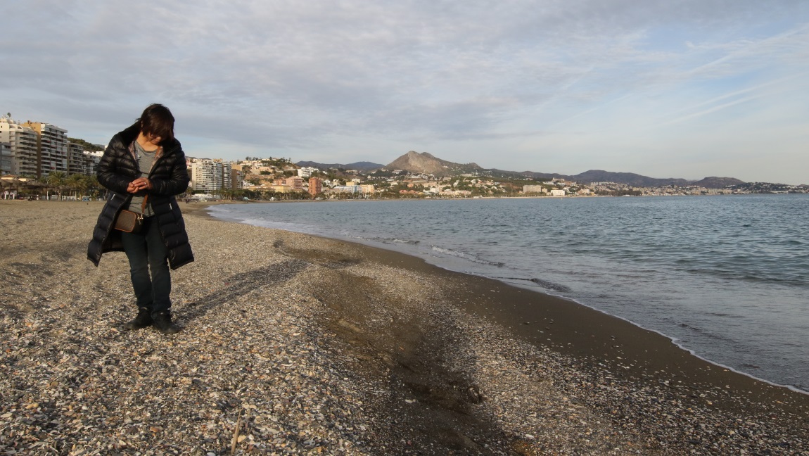 Hunting shells and rocks