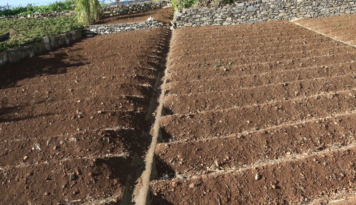 Terraced household farm