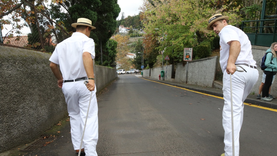 Riding in Monte Toboggan Run basket
