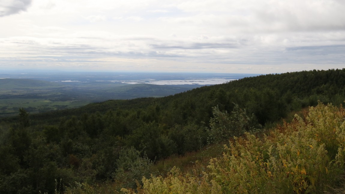 View of the Minto Flats