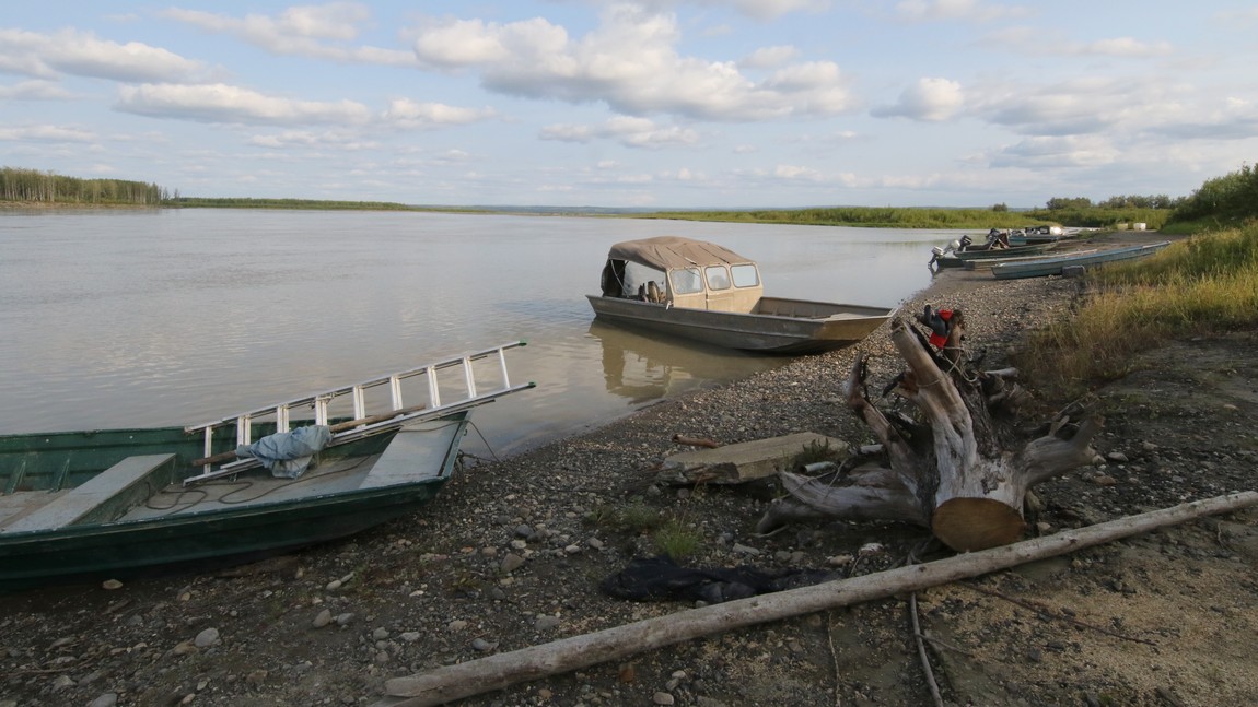 Boats on the shore