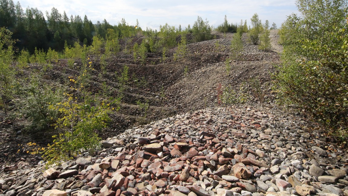 Discarded tailings