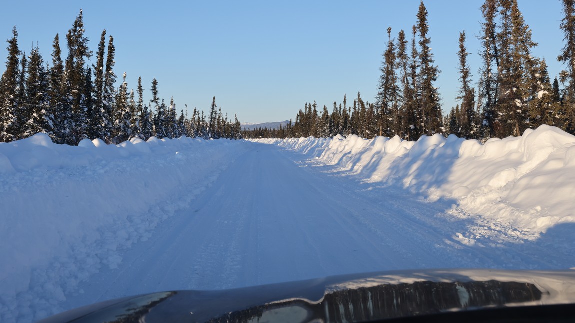 Approaching Bettles